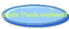 coole Pools weltweit